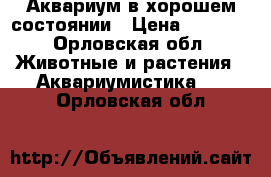 Аквариум в хорошем состоянии › Цена ­ 2 000 - Орловская обл. Животные и растения » Аквариумистика   . Орловская обл.